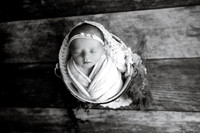 591A1457-Edit-1
