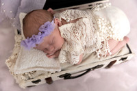 591A1581-Edit