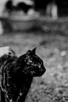 591A0046-Edit-3