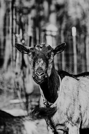 591A9393-Edit-2