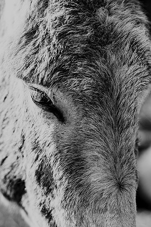 591A9492-Edit-2