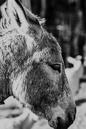591A9505-Edit-2