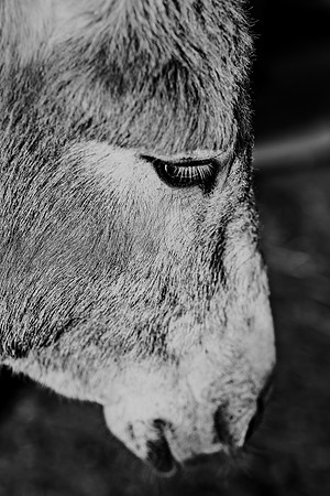 591A9529-Edit-2
