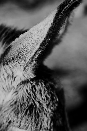 591A9533-Edit-2