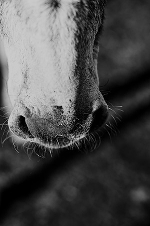 591A9537-Edit-2