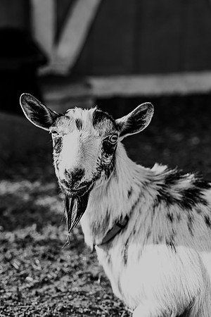 591A9564-Edit-2