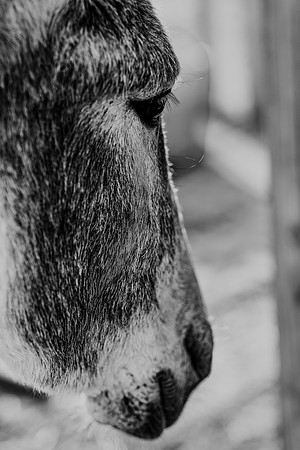 591A9575-Edit-2