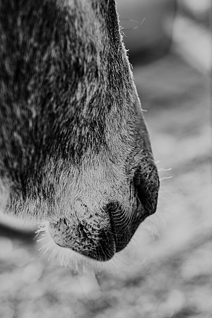 591A9576-Edit-2