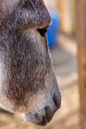 591A9575-Edit