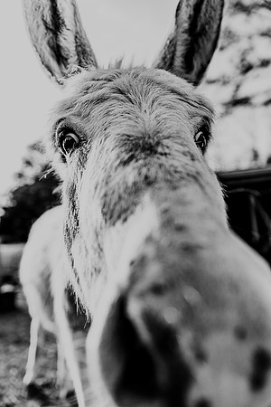 591A9797-Edit-3