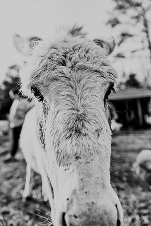 591A9835-Edit-3
