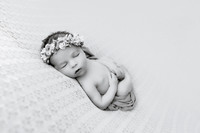 591A2175-Edit-2