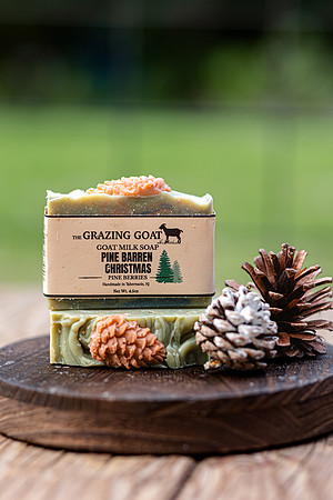 591A0219-26