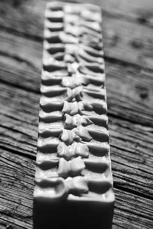 591A0462-2