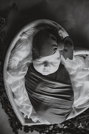 EDIT20BW