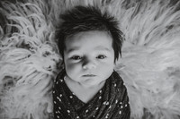 EDIT9BW