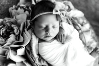 591A2573-Edit-2
