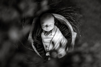 EDIT13BW