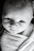 EDIT7BW
