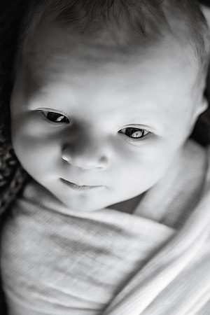 EDIT7BW