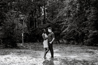 EDIT8BW