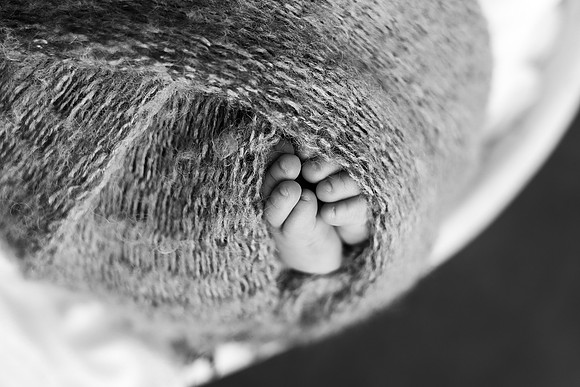 EDIT8BW