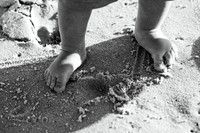 EDIT9BW