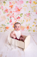 Callie 6 Month Mini