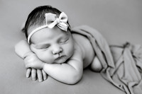 EDIT12BW