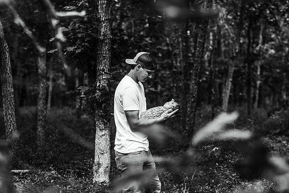 EDIT37BW