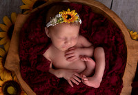 EDIT12