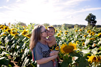 Johnson Sunflower Mini