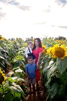 Daisy Sunflower Mini