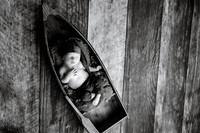 EDIT12BW