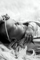 591A5520-Edit-2