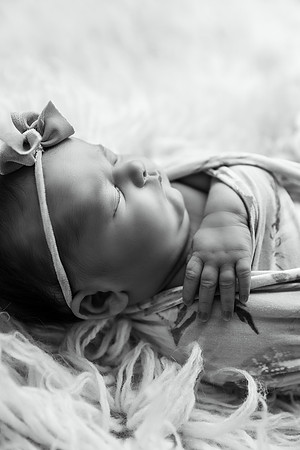 591A5520-Edit-2