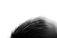 EDIT11BW