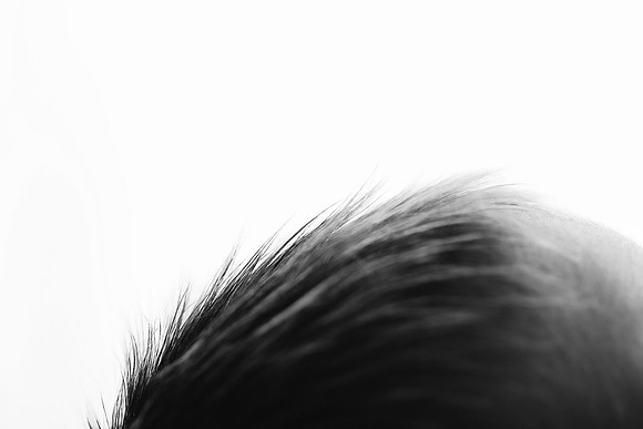 EDIT11BW
