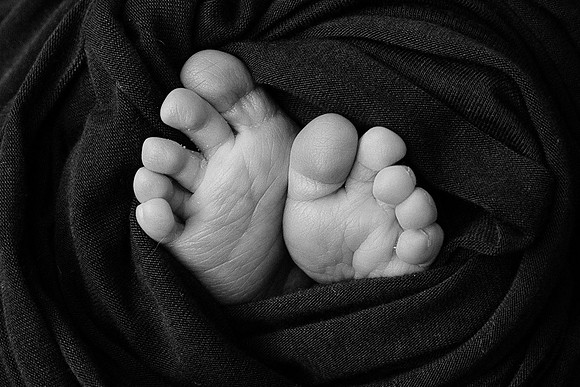 EDIT31BW