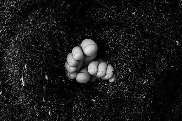 EDIT28BW