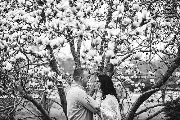 EDIT23BW