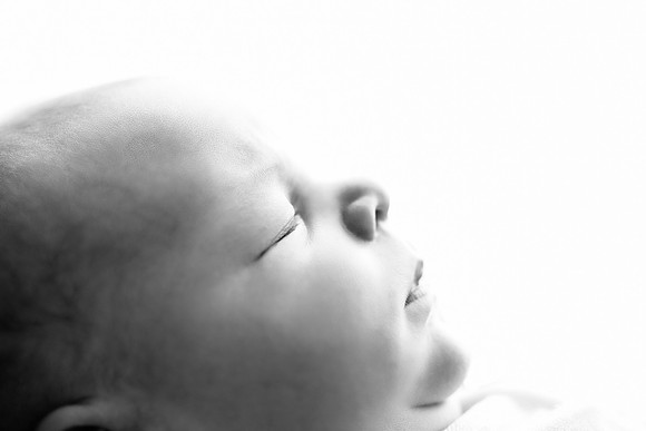 EDIT23BW
