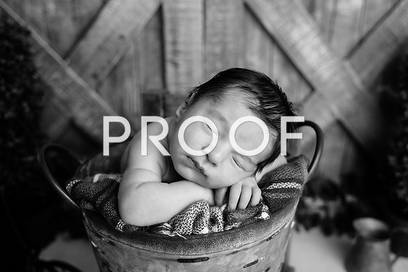 EDIT19BW