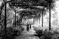 EDIT14BW