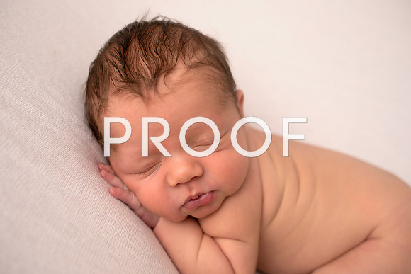 EDIT31