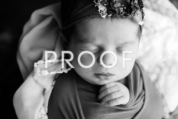 EDIT8BW