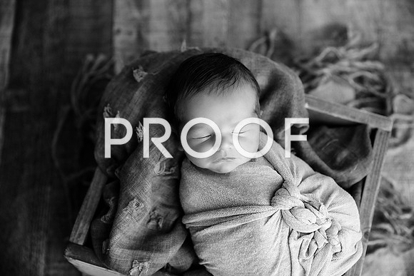 EDIT11BW