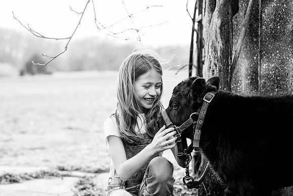 EDIT31BW