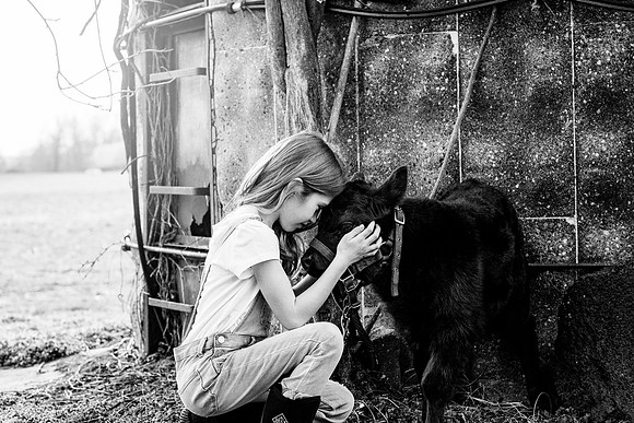 EDIT41BW