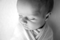 EDIT11BW